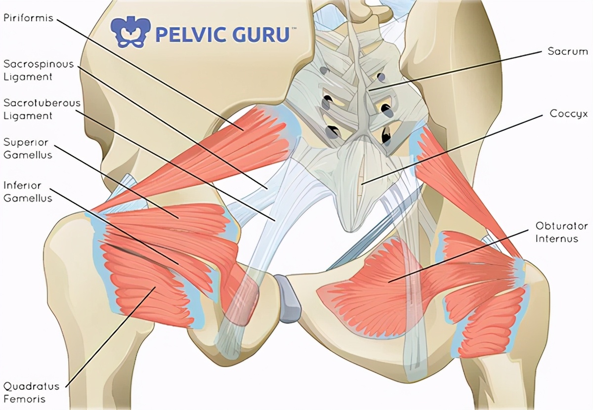 张雨绮怎么瘦成吴谨言了,张雨绮瘦的时候
