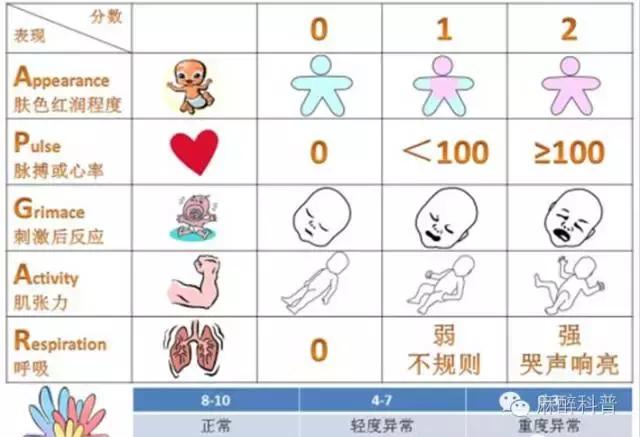 小朋友刚出生,刚出生的小孩样子