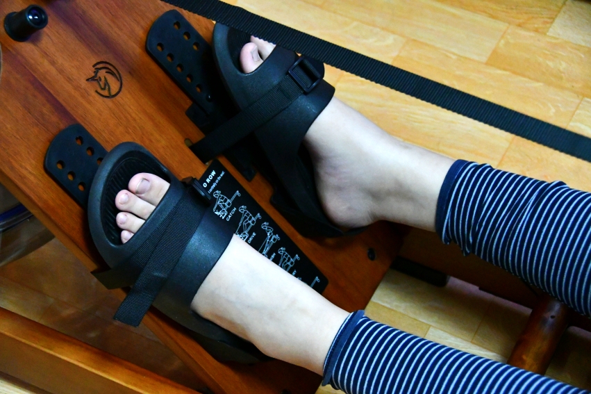 划船机真的有效果吗,划船机真的有用吗