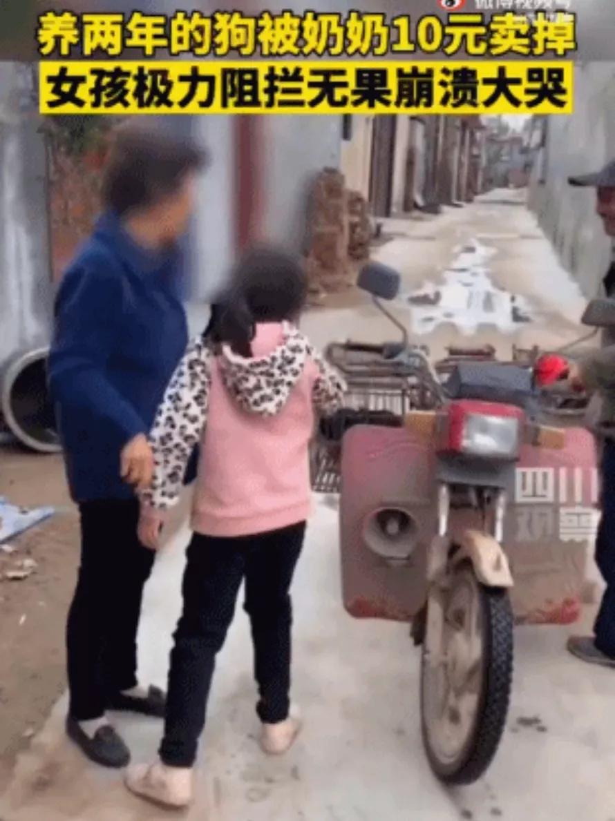 养的狗被奶奶10元卖掉了后续,养两年的狗被奶奶10元卖掉