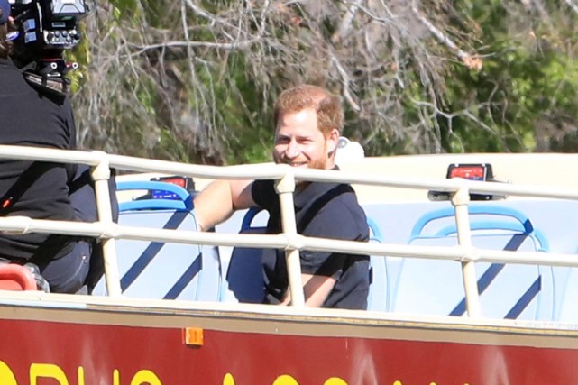 哈里王子脱发,哈里王子秃头吗