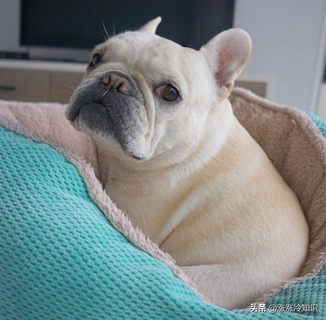 晚睡早起不犯困的办法,怎么早起不犯困