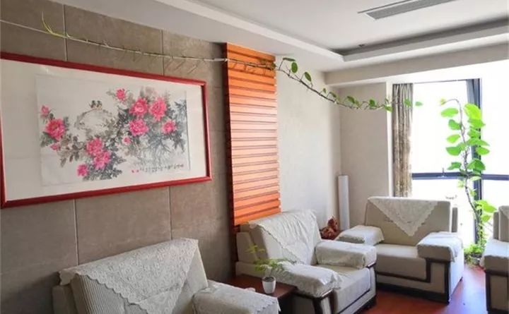 缁胯悵闀垮緱鏋濈箒鍙惰寕,浜哄鍏荤殑缁胯悵鏋濈箒鍙惰寕