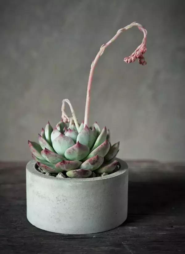 别让不好意思害了你,别让不好意思害了你全文