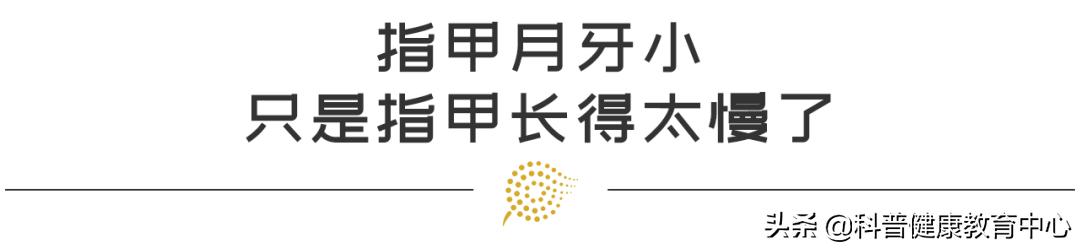 手相的科学解释,从医学角度解读手相的秘密