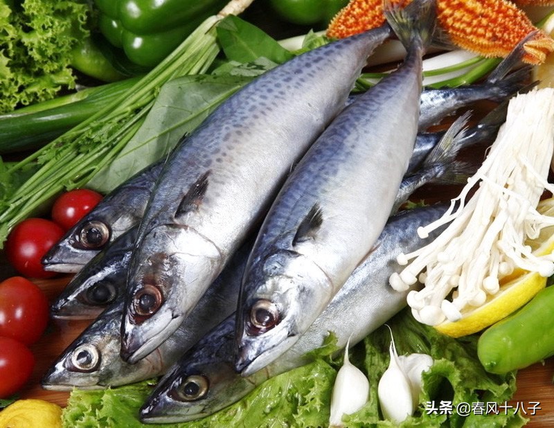 苞米钓青鱼,青鱼吃苞米吗