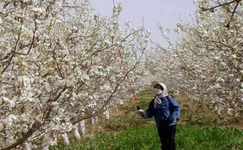 最新阿克苏的新闻,阿克苏最近有新消息吗