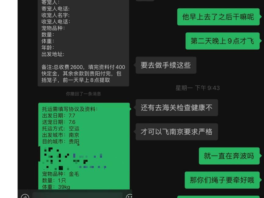 宠物托运惊恐,被托运的宠物