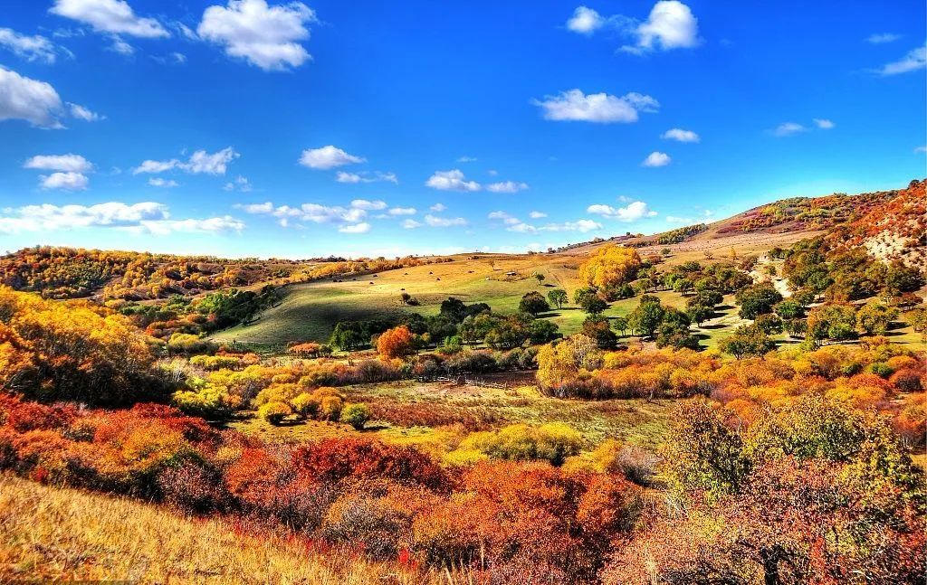 1011月错过它们,等于错过整个秋天!人少清净,随手一拍都是大片