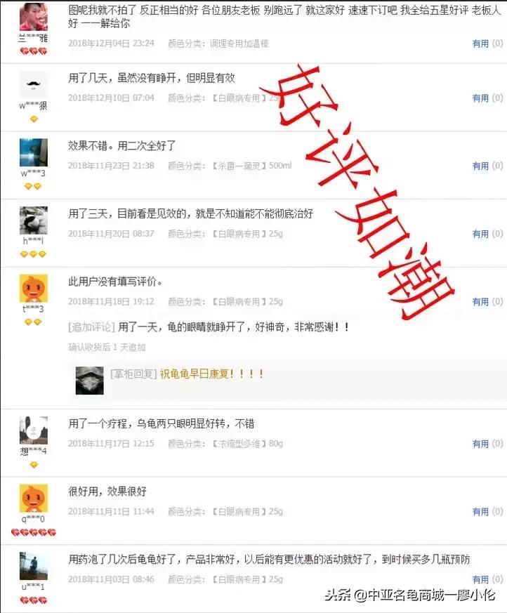 白眼病龟的克星,三线闭壳龟白眼病