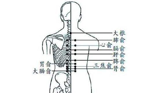 泌尿系统感染症状肾盂肾炎,泌尿系感染导致的肾炎怎么办