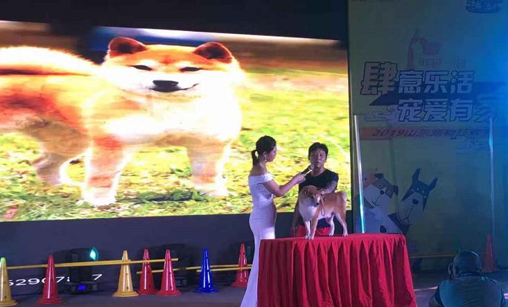 鑲嗘剰涔愭椿灞变笢,鑲嗘剰涔愭椿