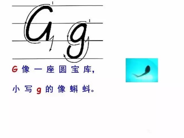 26个英文字母书写标准及练习图片,教26个字母书写的教程