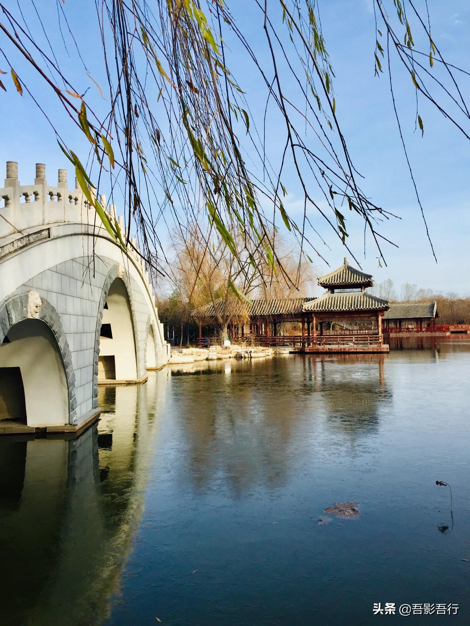 武清津北森林公园有哪些景色,天津武清森林公园开放时间表