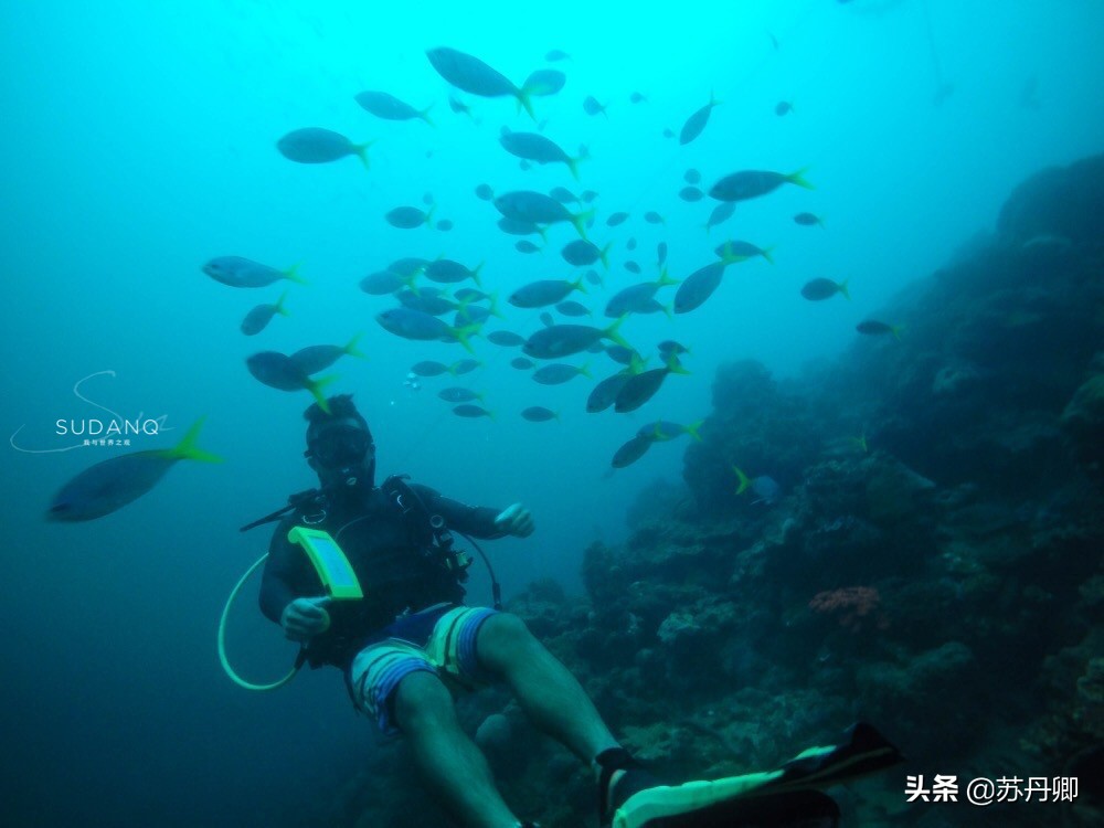 潜水多危险,自由潜水极限运动危险程度