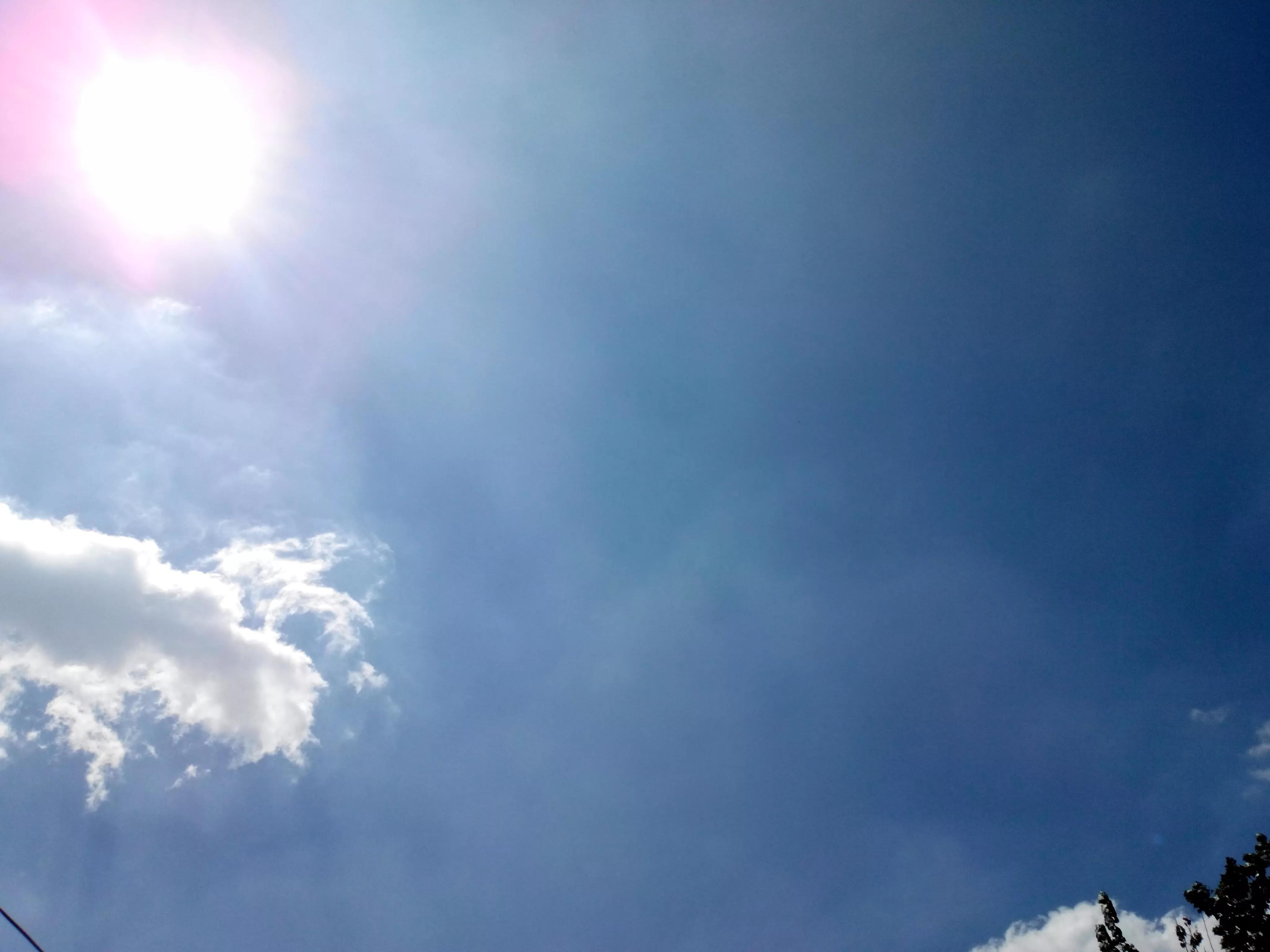 小迷糊的生活,小迷糊实现梦想家