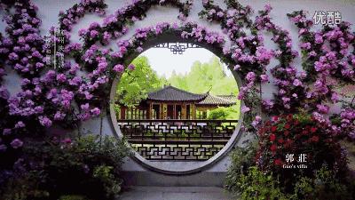 鑻忓窞鍥灄vs鏉窞瑗挎箹,鏉窞瑗挎箹vs鑻忓窞鍥灄