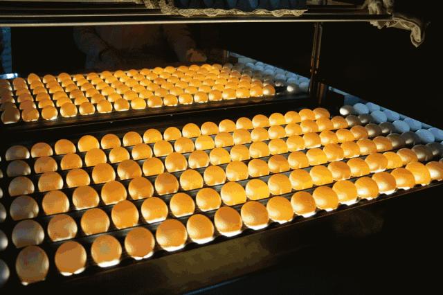 憋坏了吧,诸位!大午温泉在等你……