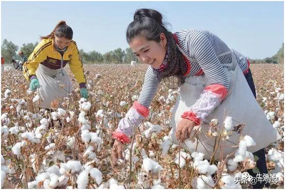 一场新的厮杀开始,一场激烈战斗再次打响