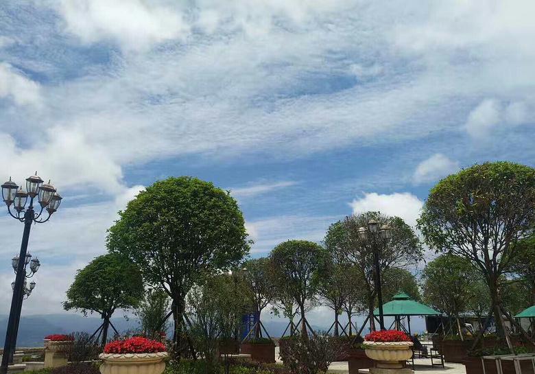 重庆避暑的好地方推荐一下,重庆本地人避暑去哪玩