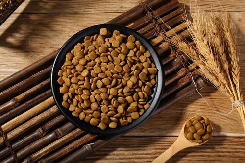 狗粮推荐6款热门狗粮测评,高性价比狗粮测评狗粮选择攻略