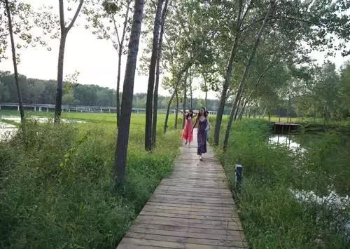 北京这38个森林公园您先收藏了!定个小目标,有空儿玩个遍!