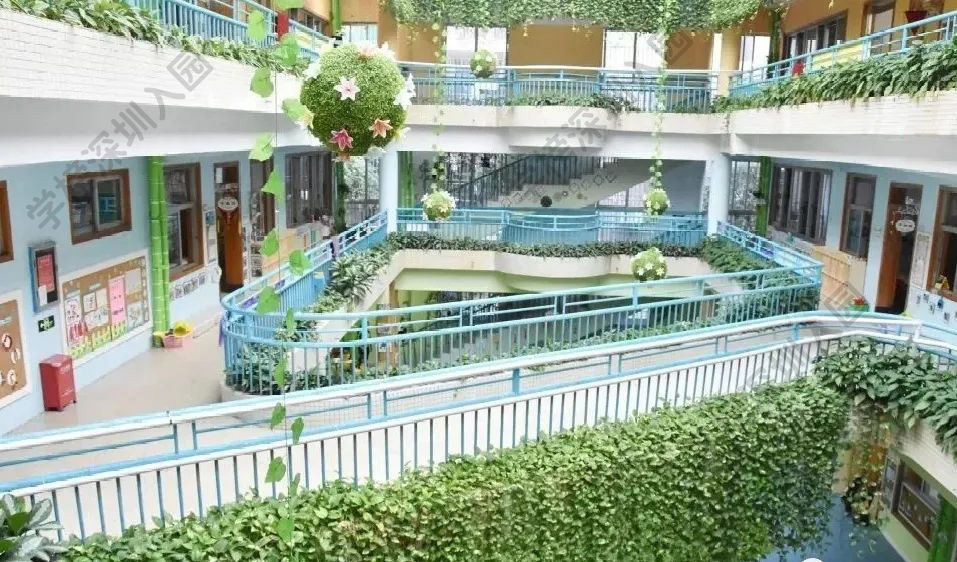 深圳双语幼儿园性价比推荐,深圳外教托育园