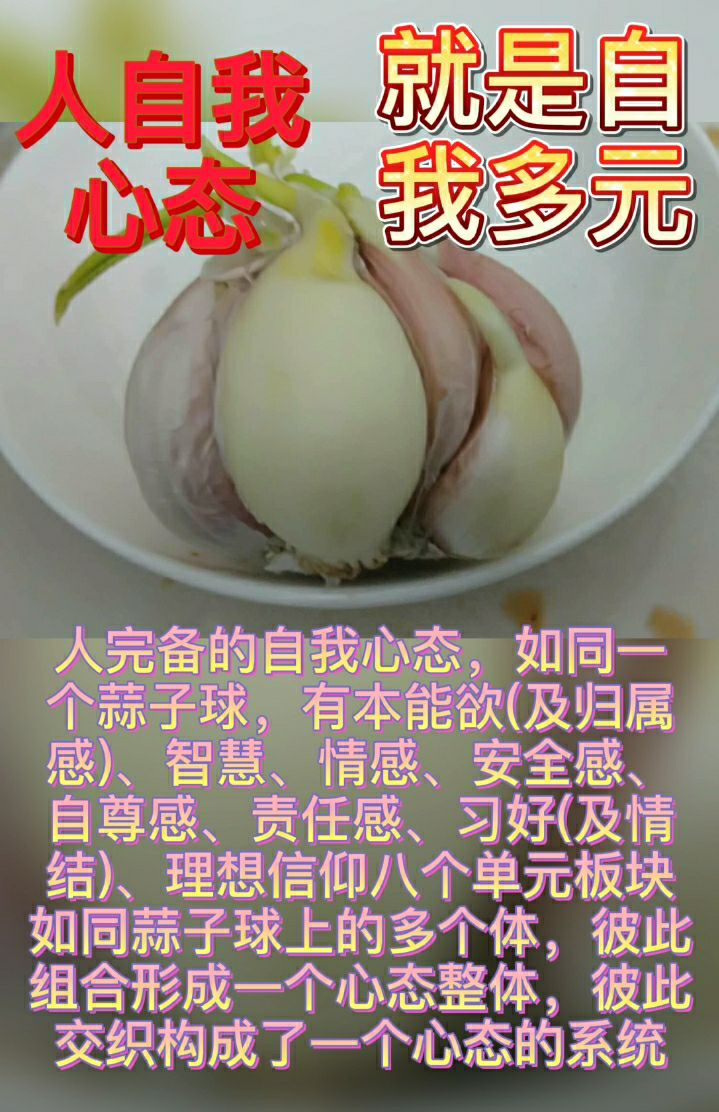 假如你老婆疯狂的追一个男星，如痴如狂的那种，你会怎么办?