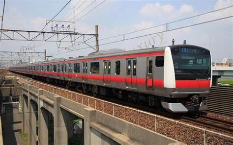 东京自由行怎么吃饭,东京旅游一天吃喝