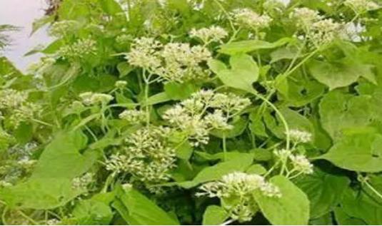 全民国家安全教育日保护公众健康,4.15全民国家安全教育日主题宣传