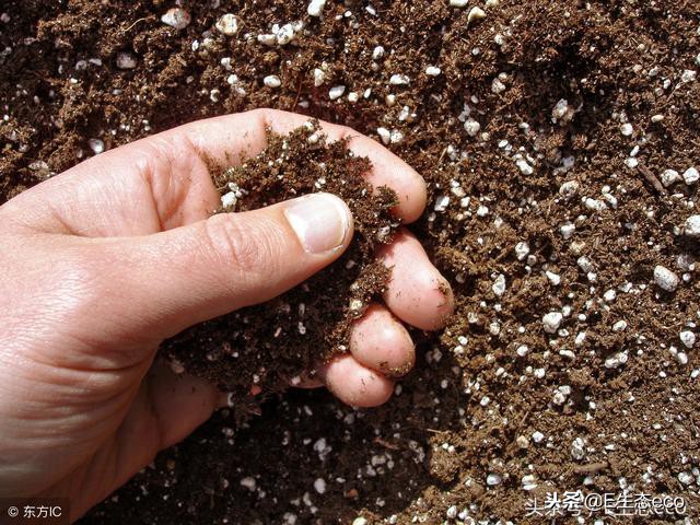土壤水分检测方法标准,土壤含水量的简单判断