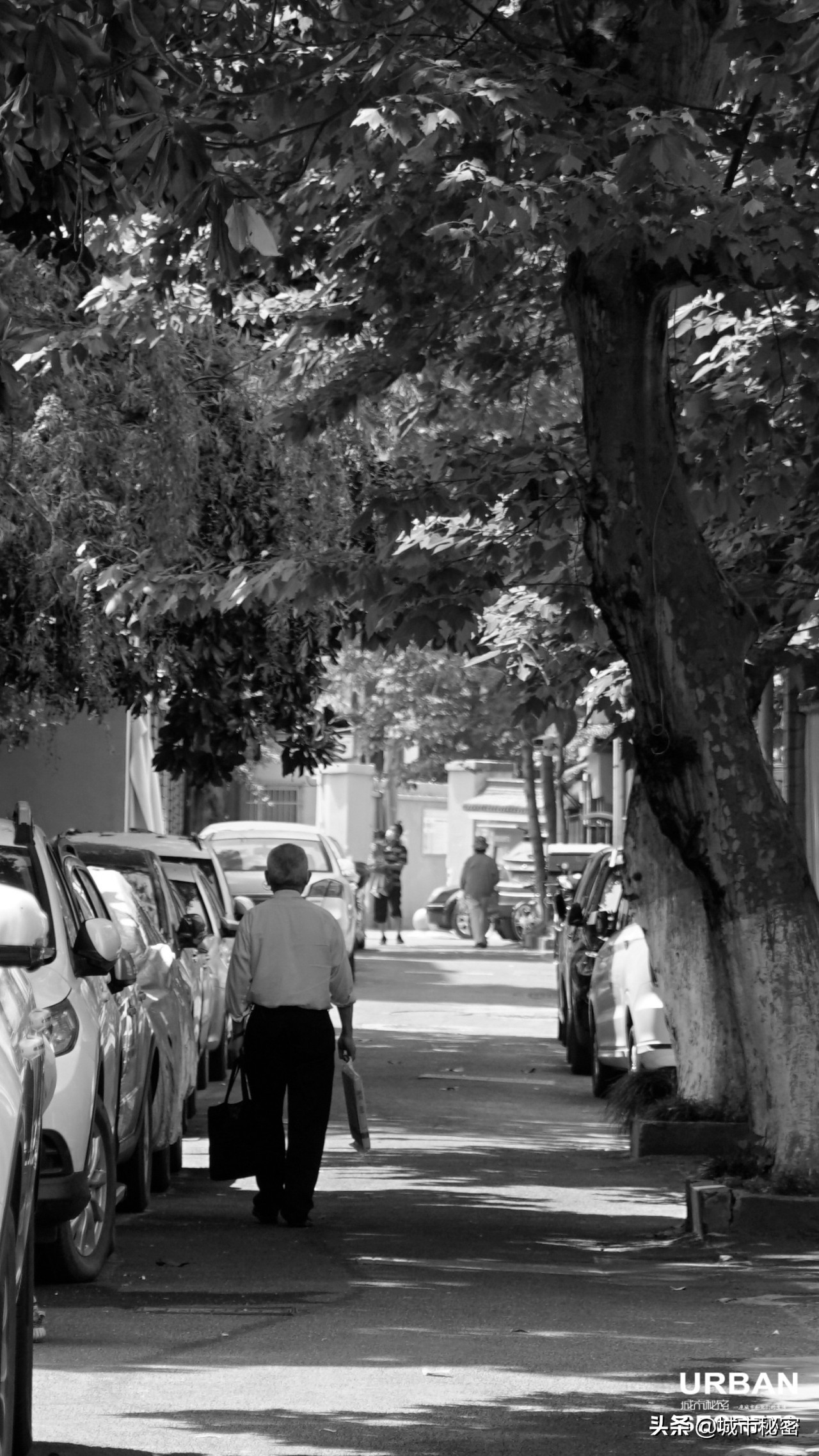 杭州文二路车祸最新消息,杭州文二路交通事故