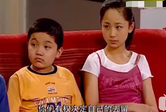 家有儿女刘星家到底是多有钱,家有儿女刘星家究竟多有钱