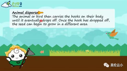 植物传播种子的方法有哪些二年级,我知道植物传播种子的方式有哪些