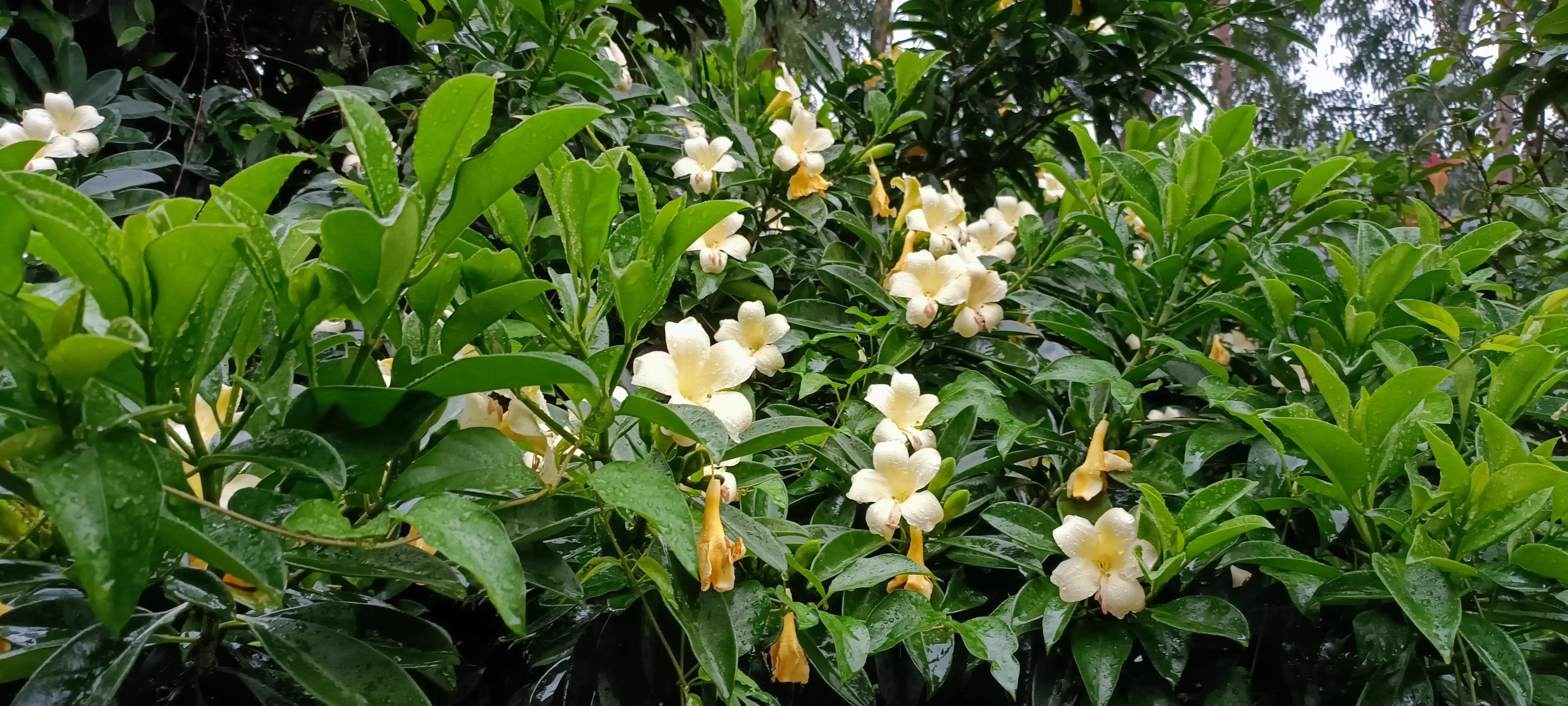 红米note10pro用了三年,红米note10pro真实使用体验