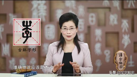 李姓朋友注意：《说文解字》中，竟是如此解释“李”字，值得收藏