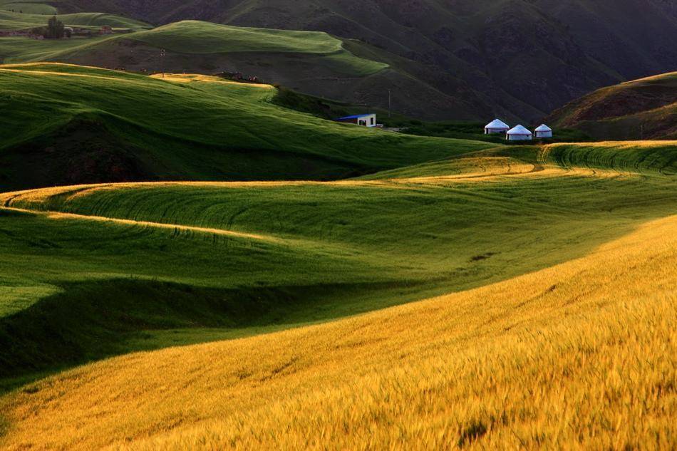 为什么建议不要频繁的换工作,如何看待年轻人频繁换工作
