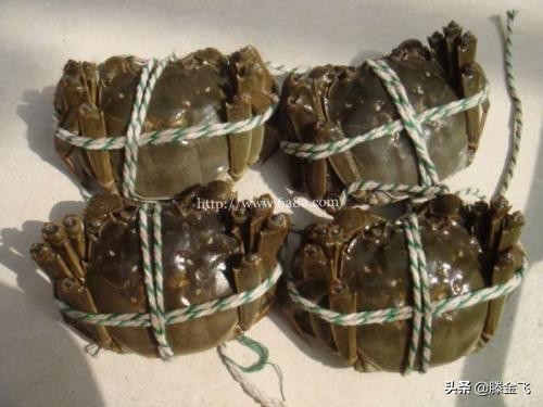 海螃蟹怎样保存时间长新鲜,冰箱螃蟹怎么保存才新鲜