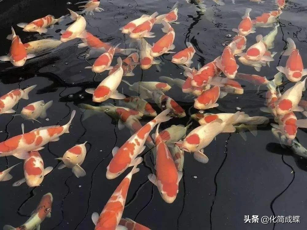 鎵撳紑浜嗗皹灏佸骞寸殑qq绌洪棿,鑷繁杩囧幓鐨剄q绌洪棿