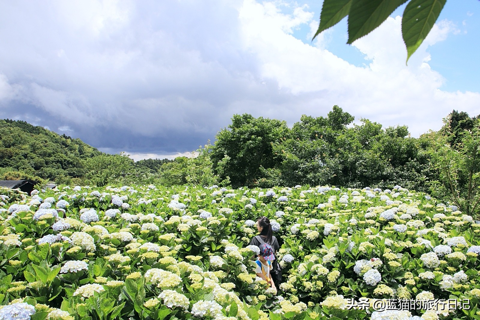 520最浪漫的旅游地,520浪漫出游地