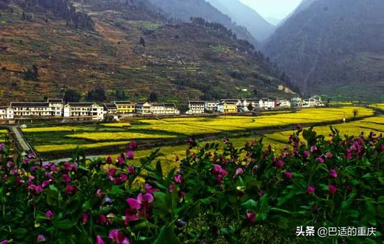 重庆市89个实力强镇(区县篇):“秀美之城”南川区