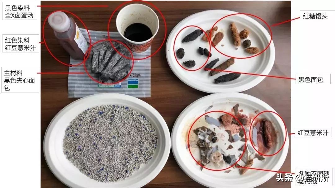 猫咪乱拉如何解决,猫咪乱拉处理方法