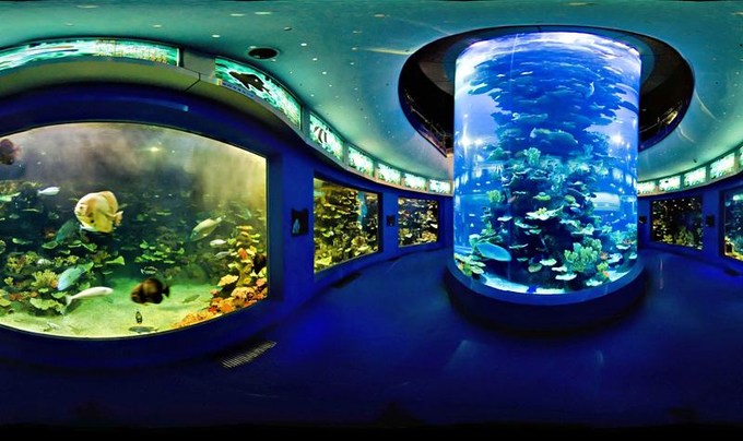 青岛沿海旅游景点,青岛精华步骤