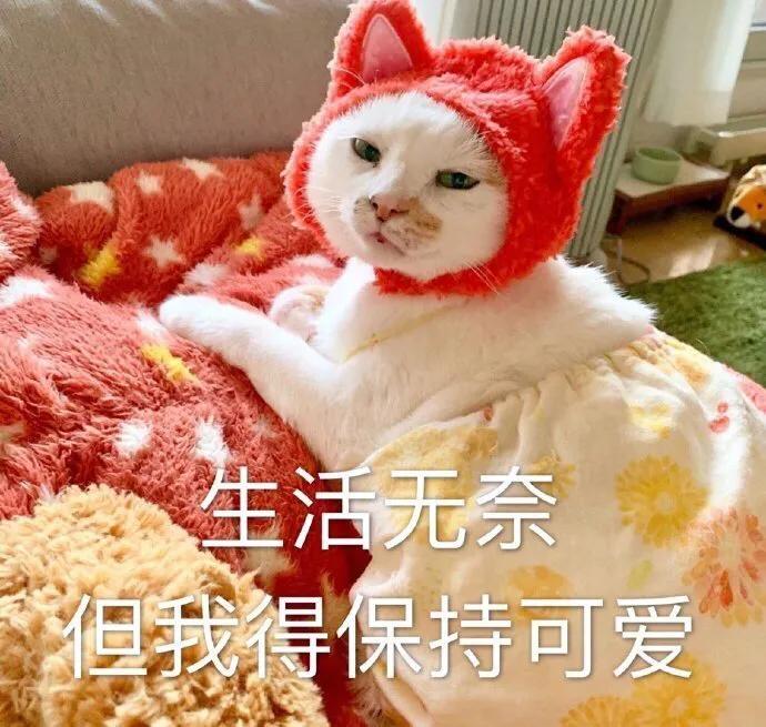 老师在教室上网课搞笑,孩子在家上网课搞笑的状态