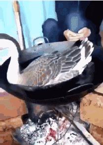 托马斯旋转搞笑名场面,倒立酷炫托马斯回旋