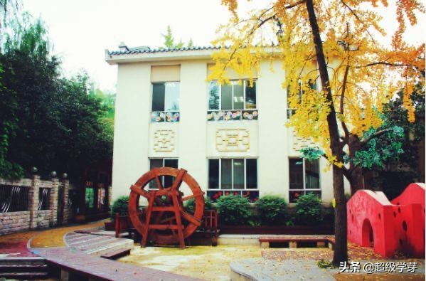 金牛区教育不咋行,老牌名校已没落?幼儿园到高中怎么选?