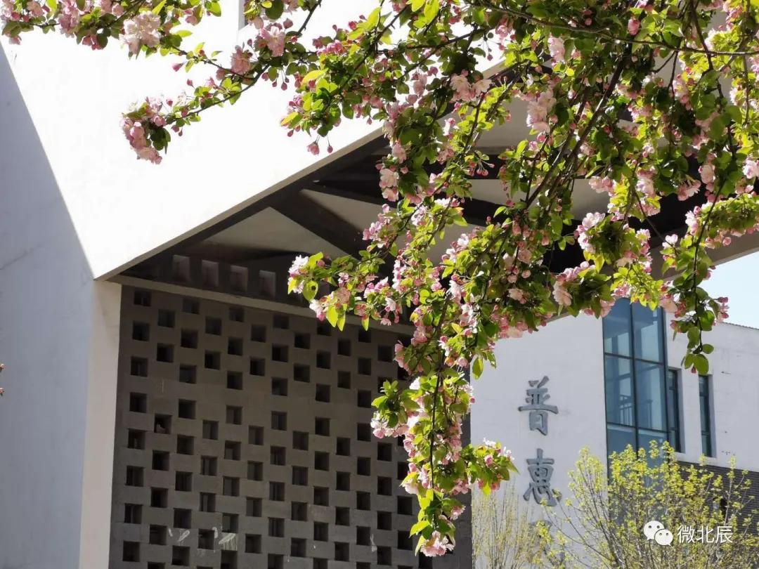 复课在即!快来看看九十六中学、青光中学、普育学校的筹备情况吧~