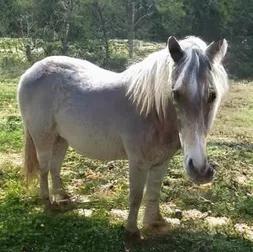 画漫画书用什么软件,画漫画写文