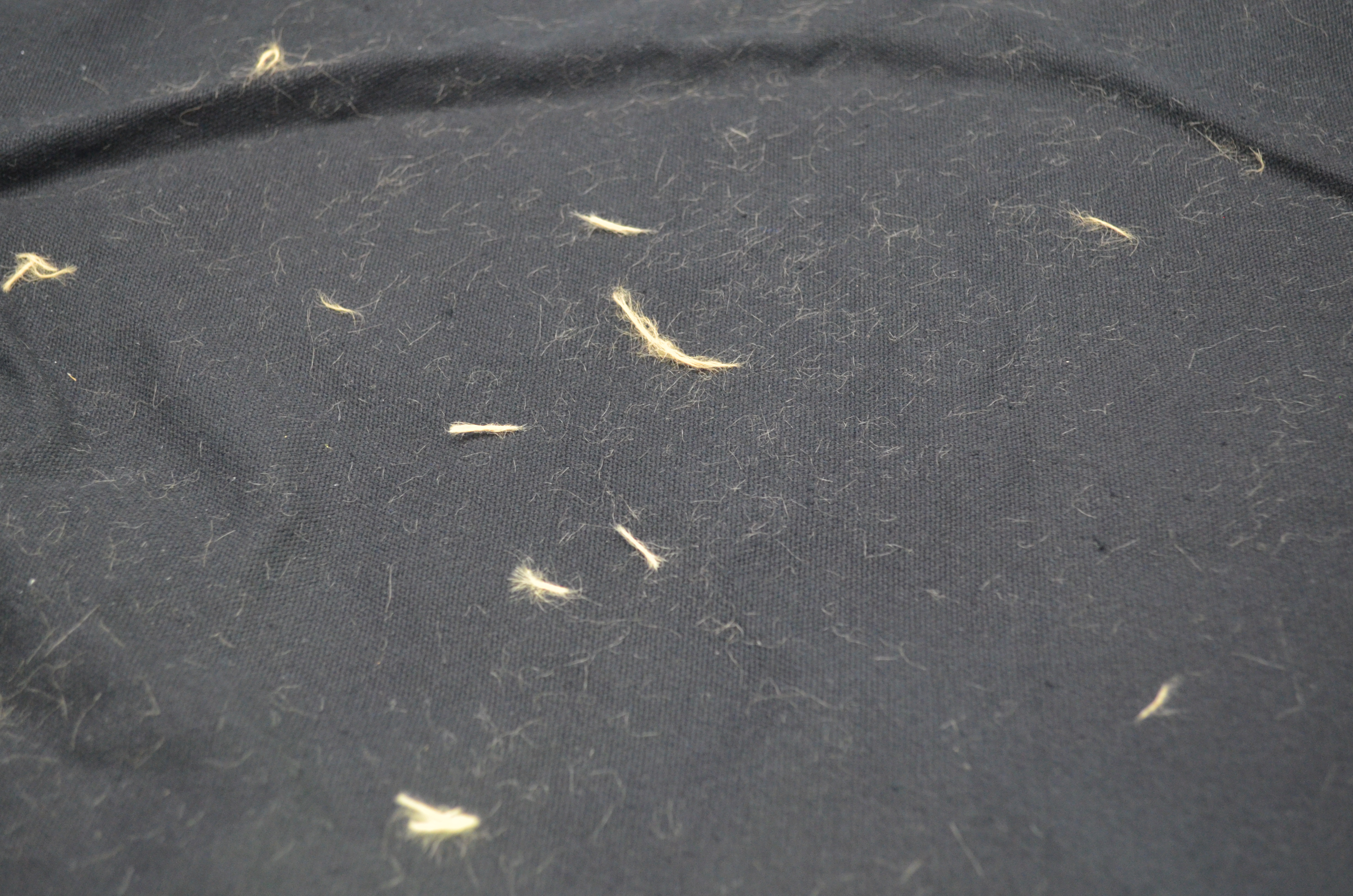 如何去除衣服上的毛絮小妙招,衣服粘毛怎么处理不用滚刷