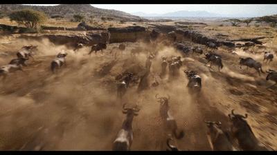 妫灄澶у笣90鐗堝姩鐢荤墖鍏嶈垂瑙傜湅,妫灄澶у笣1990鐗堝姩鐢荤墖